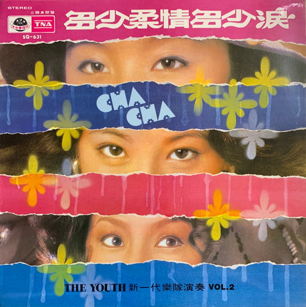 The Youth - 新一代超級旋律 Vol. 2 - 多少柔情多少淚